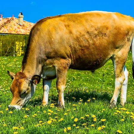 Le De La Faiencerie Passavant-en-Argonne