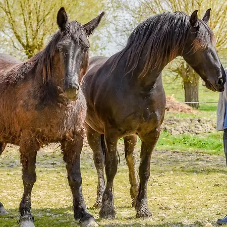Le De La Faiencerie Vakantiehuis